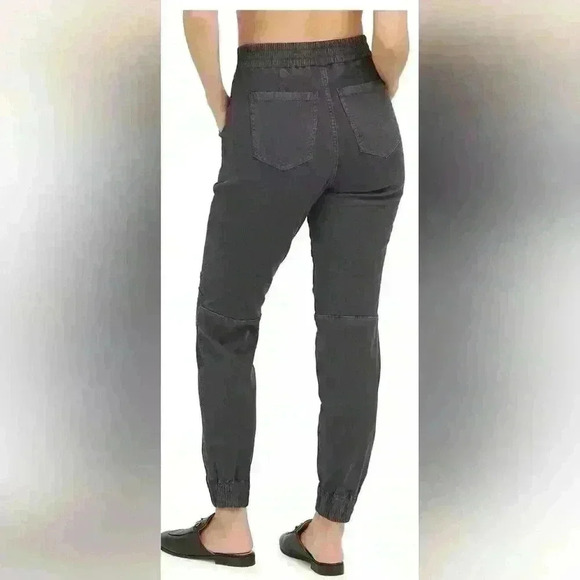 NWTSPANX Stretch Twill Cargo Jogger - Picture 7 of 7